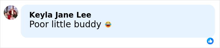 67YO Madonna’s Raunchy Dolce & Gabbana Ad With Younger Men And Crotch Shot Gets Brutally Slammed