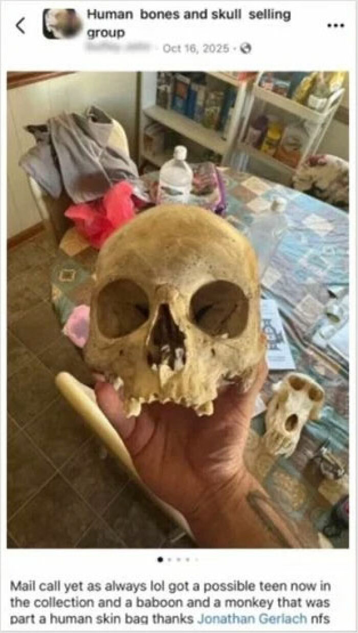Skull In Man’s Car Leads To Chilling House And Horrifying Discovery That Stuns Authorities