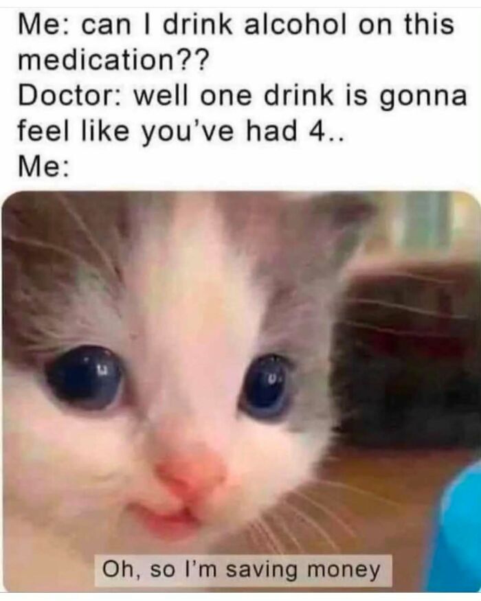 If You Can&rsquo;t Think Of A Better Way To Spend Your Time Than Looking At Cat Memes, These 78 Posts Are For You