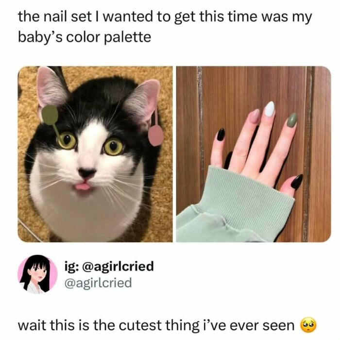 If You Can&rsquo;t Think Of A Better Way To Spend Your Time Than Looking At Cat Memes, These 78 Posts Are For You