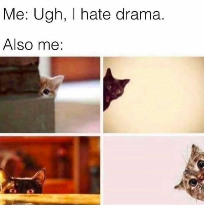 If You Can&rsquo;t Think Of A Better Way To Spend Your Time Than Looking At Cat Memes, These 78 Posts Are For You