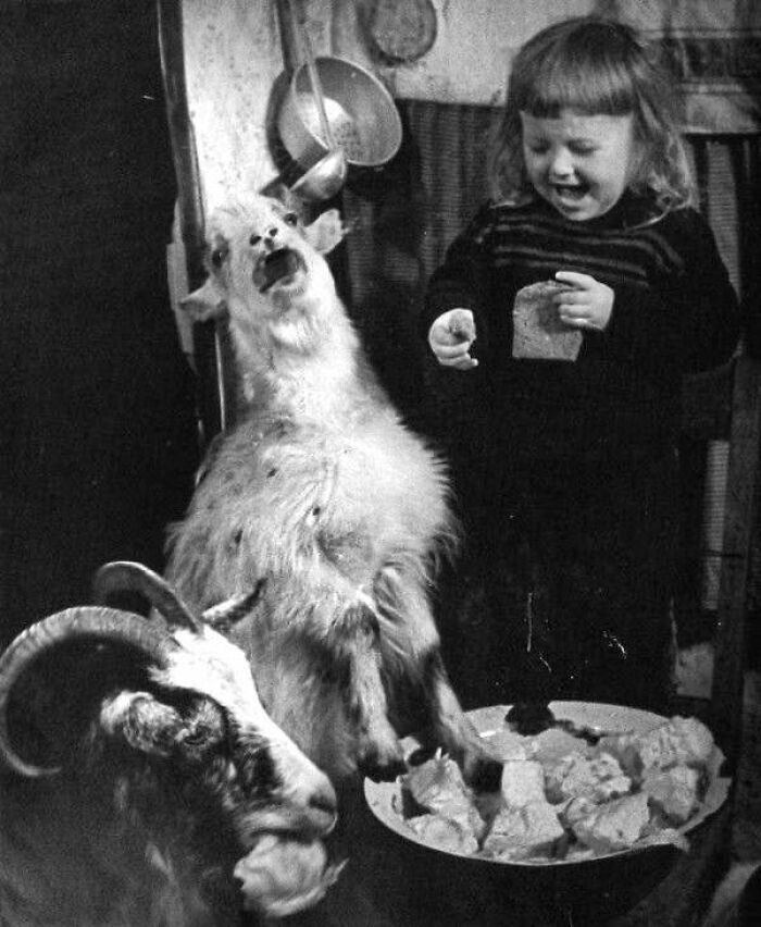 92 Old Black & White Pics You Might Enjoy If You Like Everything Odd And Creepy