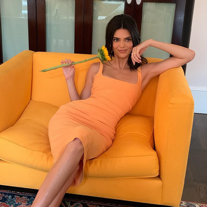 “She Just Looks Plastic”: Kendall Jenner Slammed After Claiming She&rsquo;s Never Had Any Surgery