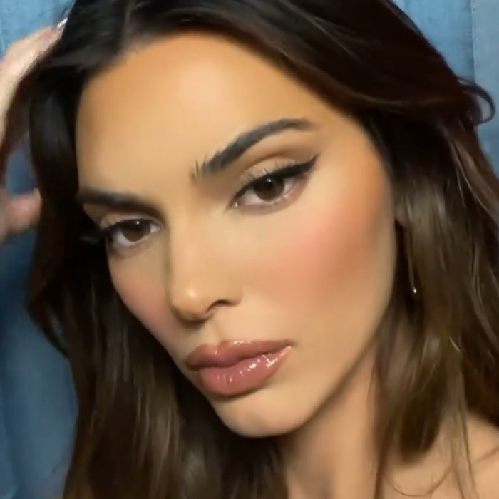 “She Just Looks Plastic”: Kendall Jenner Slammed After Claiming She&rsquo;s Never Had Any Surgery
