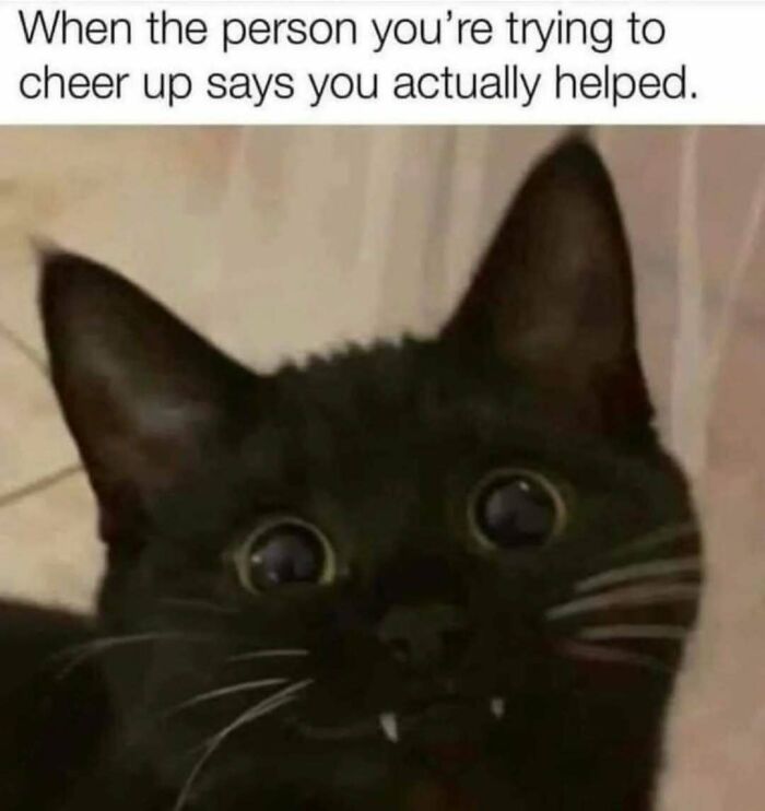 73 Hilarious Posts For People Who Use Humor As A Coping Mechanism (New Pics)