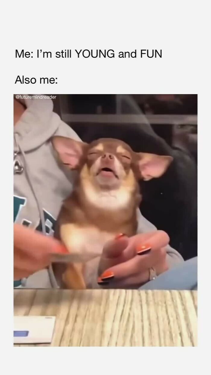 73 Hilarious Posts For People Who Use Humor As A Coping Mechanism (New Pics)