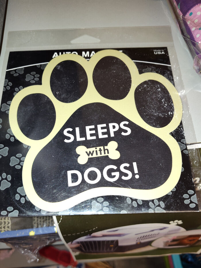 &ldquo;Wait A Minute&rdquo;: 57 Unhinged Images That Went From 0 To 100, And It Caught People Off-Guard (New Pics)