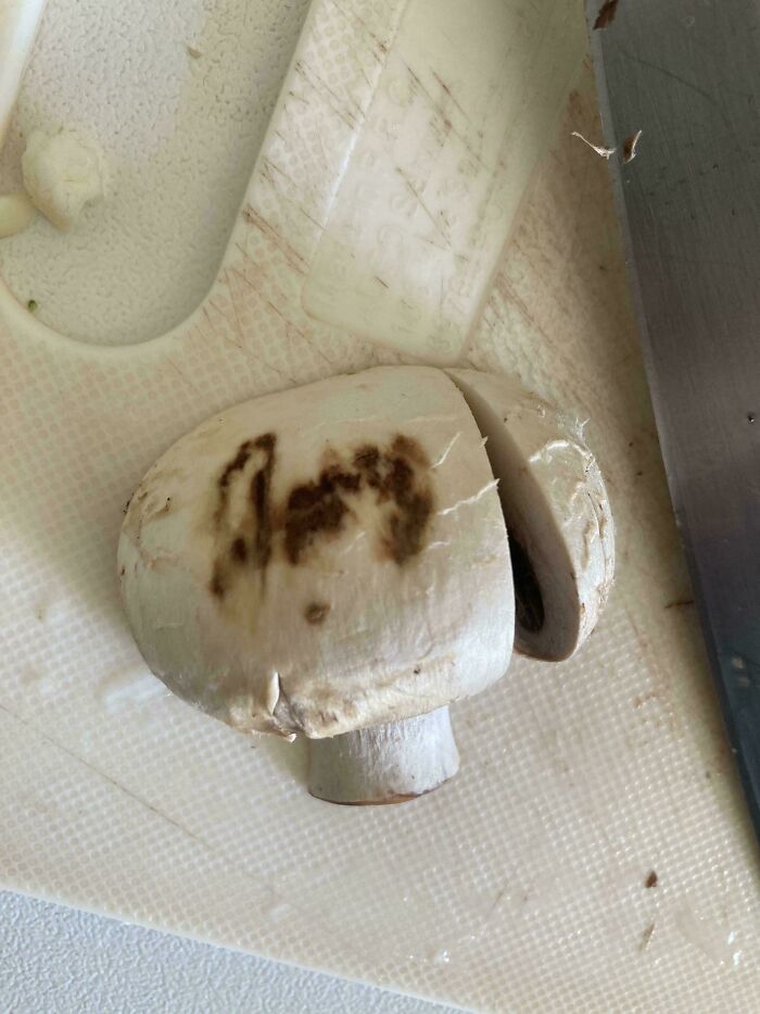 &ldquo;Wait A Minute&rdquo;: 57 Unhinged Images That Went From 0 To 100, And It Caught People Off-Guard (New Pics)