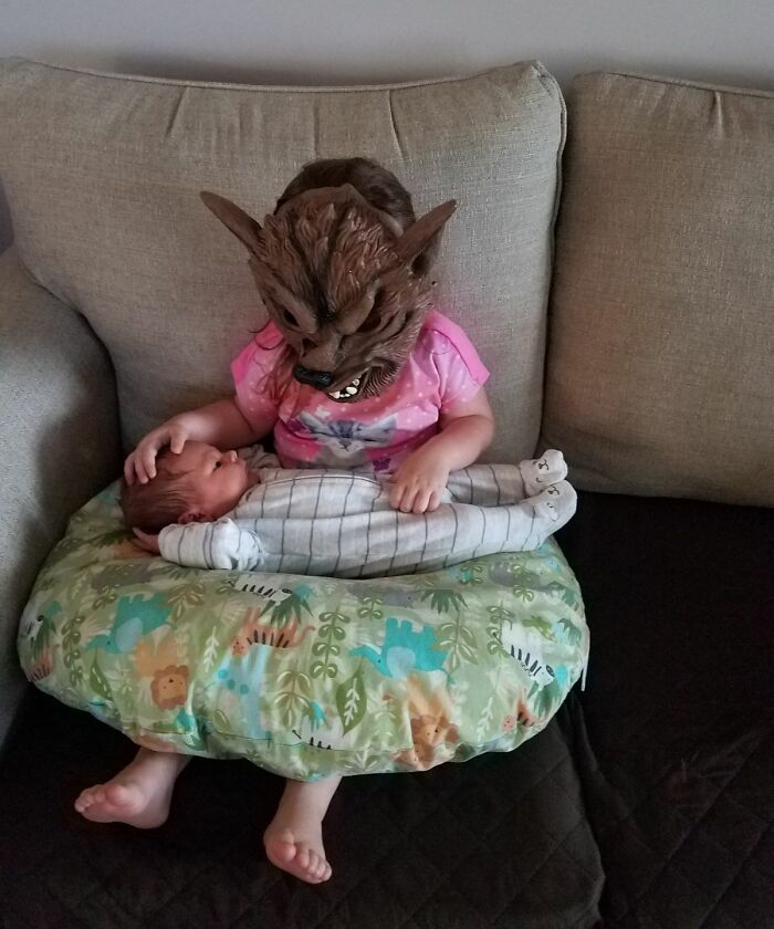 68 Photos That Prove Life Is More Fun When You Have Siblings (New Pics)