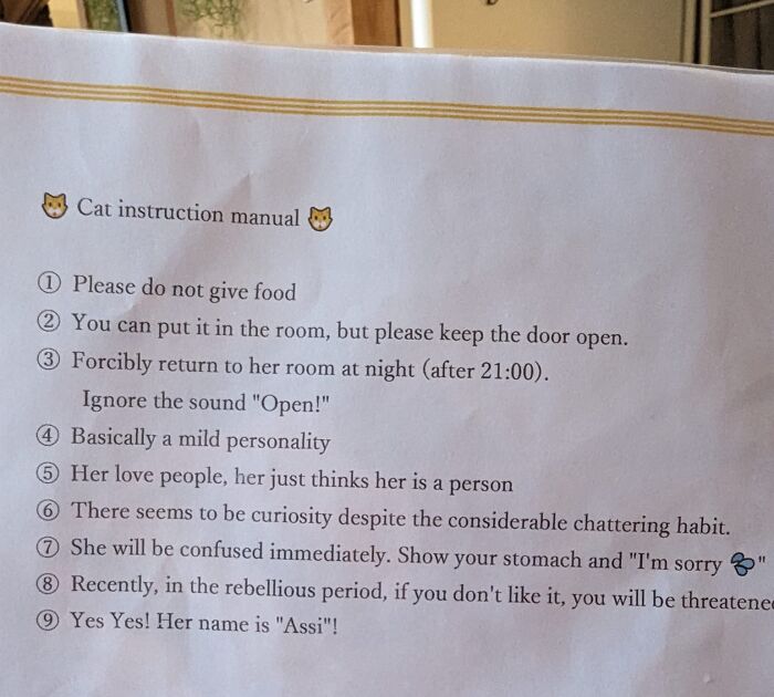 101 Hilarious Cases Showing Japan Getting Completely Lost While Translating To English