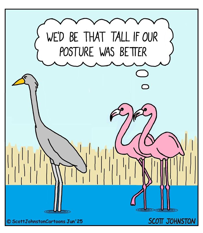 Scott Johnston&rsquo;s Latest 58 Humorous Comics That Might Make Your Day