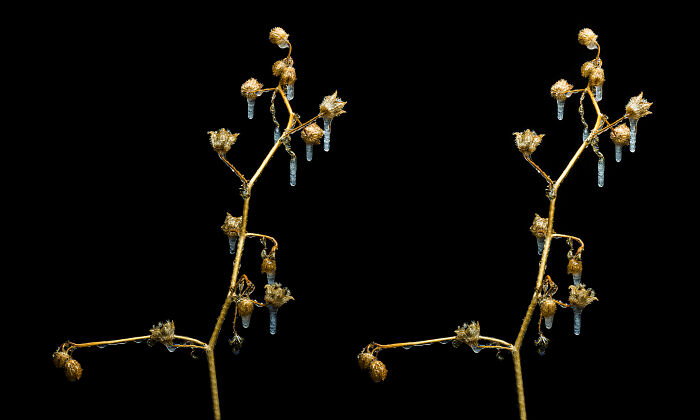 I Revived A Historic 3D Photo Technique