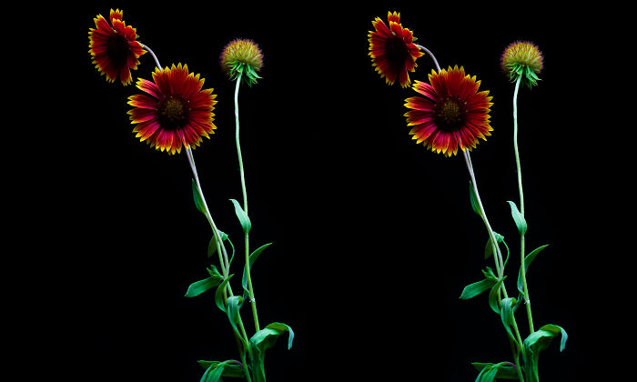 I Revived A Historic 3D Photo Technique