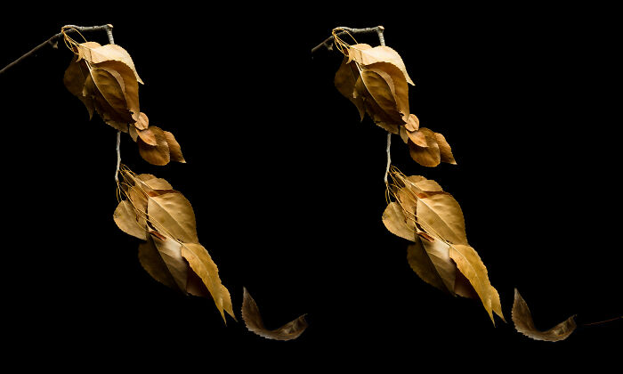 I Revived A Historic 3D Photo Technique