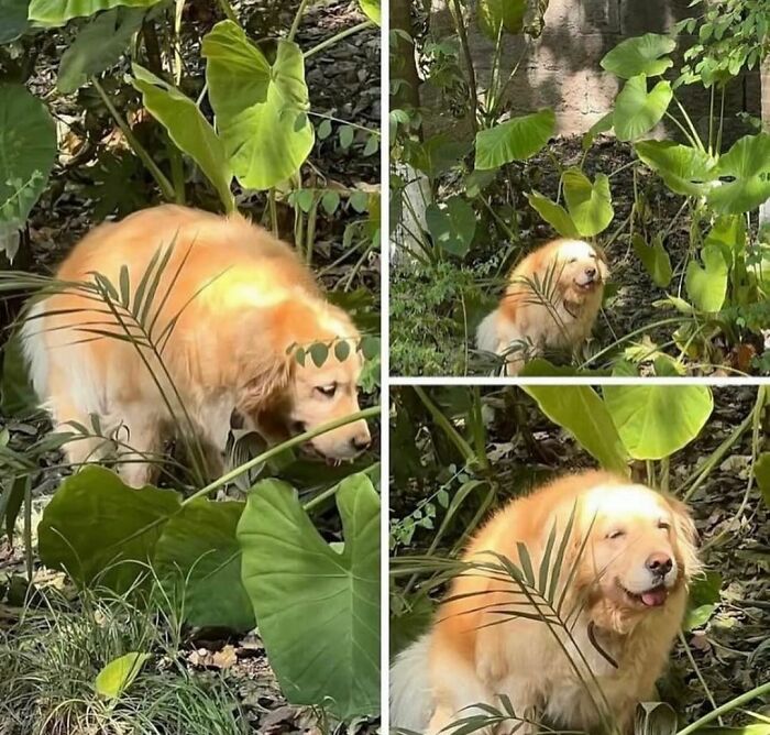 137 Random And Cringe Photos For Those With A Unique Sense Of Humor