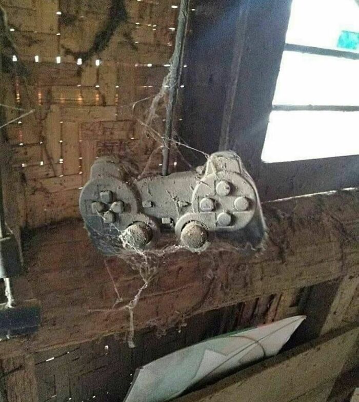 137 Random And Cringe Photos For Those With A Unique Sense Of Humor