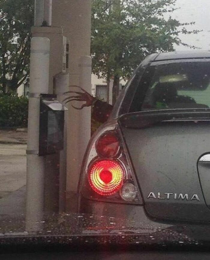 137 Random And Cringe Photos For Those With A Unique Sense Of Humor