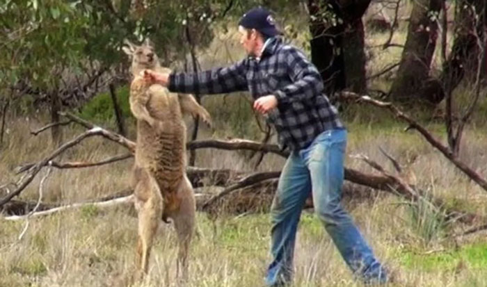 &ldquo;Always Stayed With Me&rdquo;: 56 People Shared Photos From Their Countries That Hit Hard