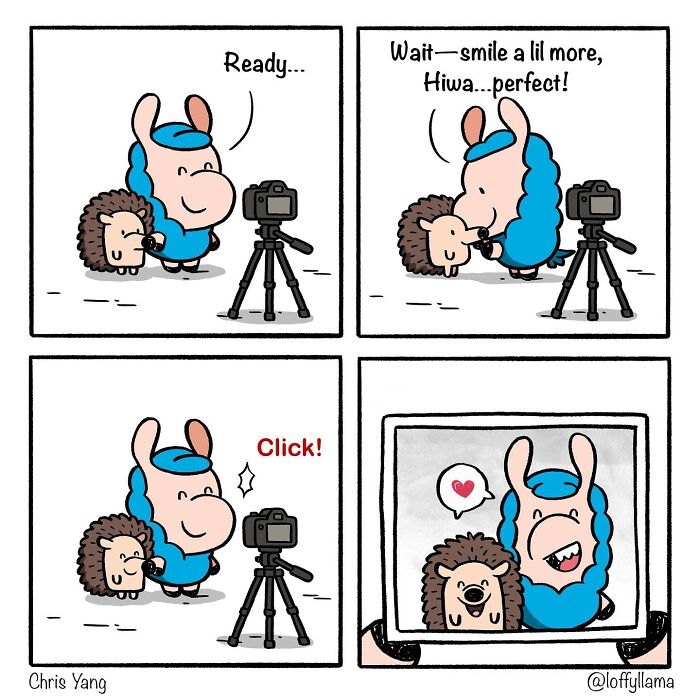 21 Wholesome Comics By Chris Yang About A Llama And A Hedgehog’s Friendship