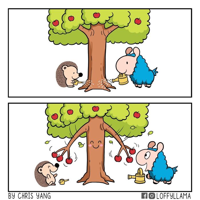 21 Wholesome Comics By Chris Yang About A Llama And A Hedgehog’s Friendship