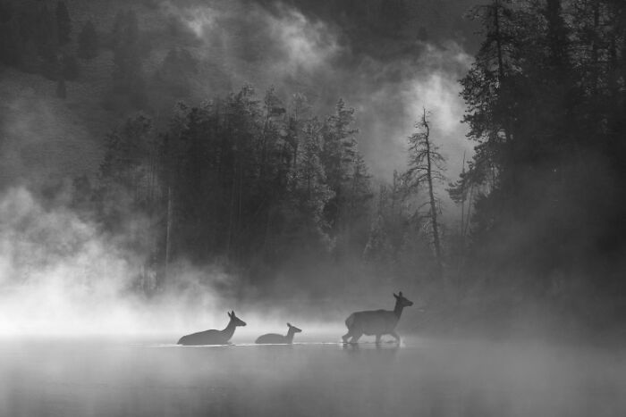 The Exposure One Awards Just Announced Their Black & White Nature Photo Contest Winners (49 Pics)