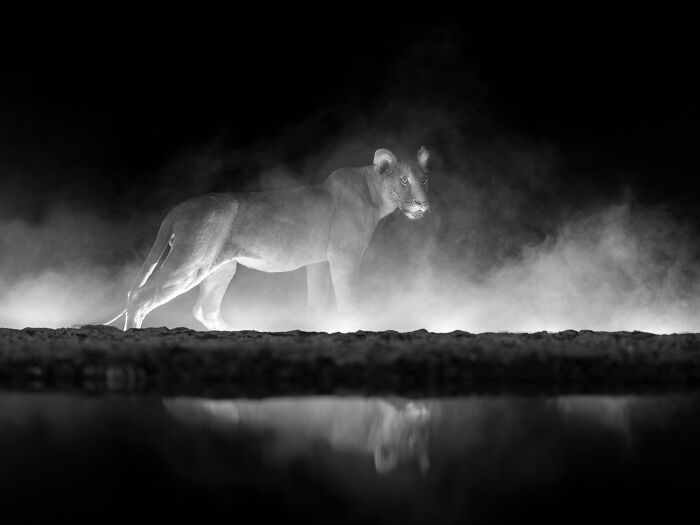 The Exposure One Awards Just Announced Their Black & White Nature Photo Contest Winners (49 Pics)