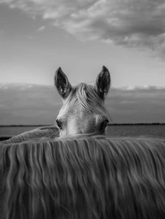 The Exposure One Awards Just Announced Their Black & White Nature Photo Contest Winners (49 Pics)
