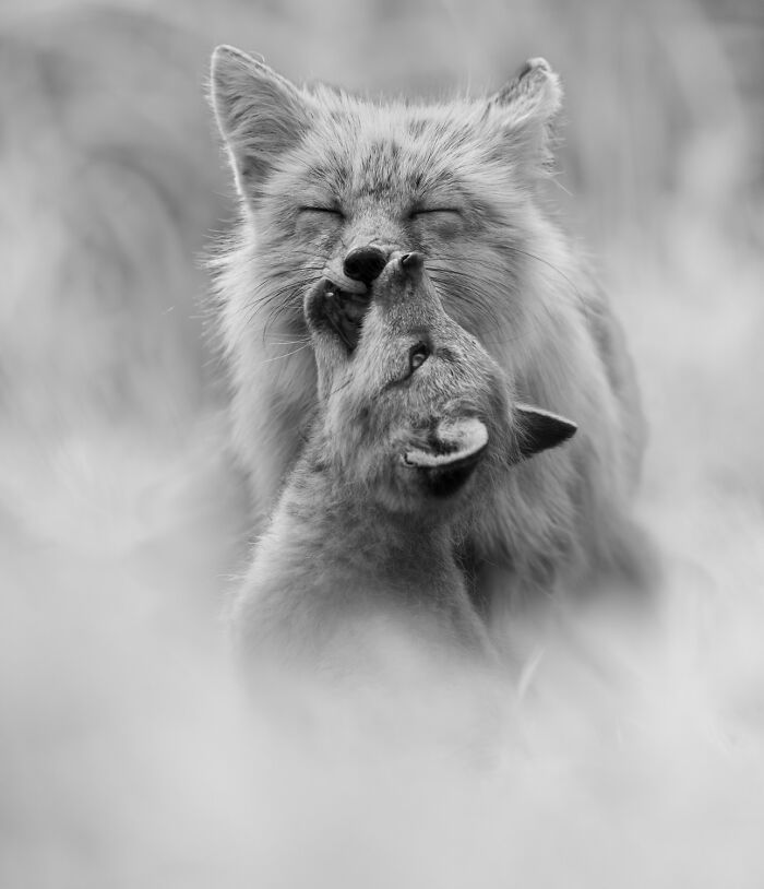 The Exposure One Awards Just Announced Their Black & White Nature Photo Contest Winners (49 Pics)