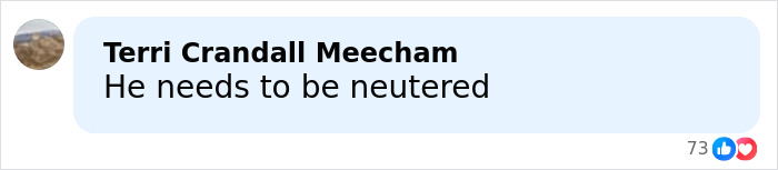 Elon Musk Makes Dramatic Announcement About 13th Child With Conservative Influencer
