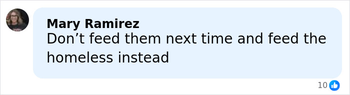 “He’s Right”: Stellan Skarsg&aring;rd Speaks Out On The Critics Choice Awards&rsquo; &ldquo;Disappointing&rdquo; Food