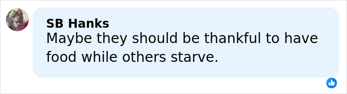 “He’s Right”: Stellan Skarsg&aring;rd Speaks Out On The Critics Choice Awards&rsquo; &ldquo;Disappointing&rdquo; Food