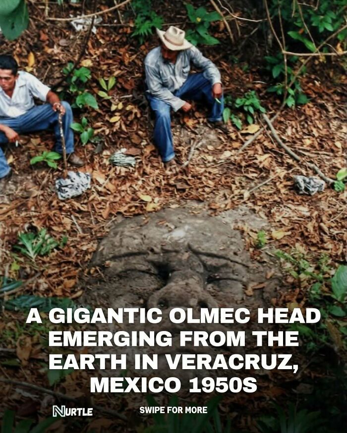 94 Random Facts That Nobody Really Asked For, But They Are Still Fun To Know