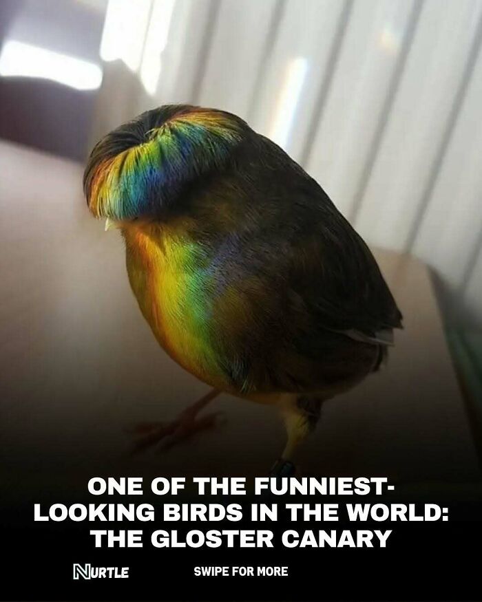 94 Random Facts That Nobody Really Asked For, But They Are Still Fun To Know