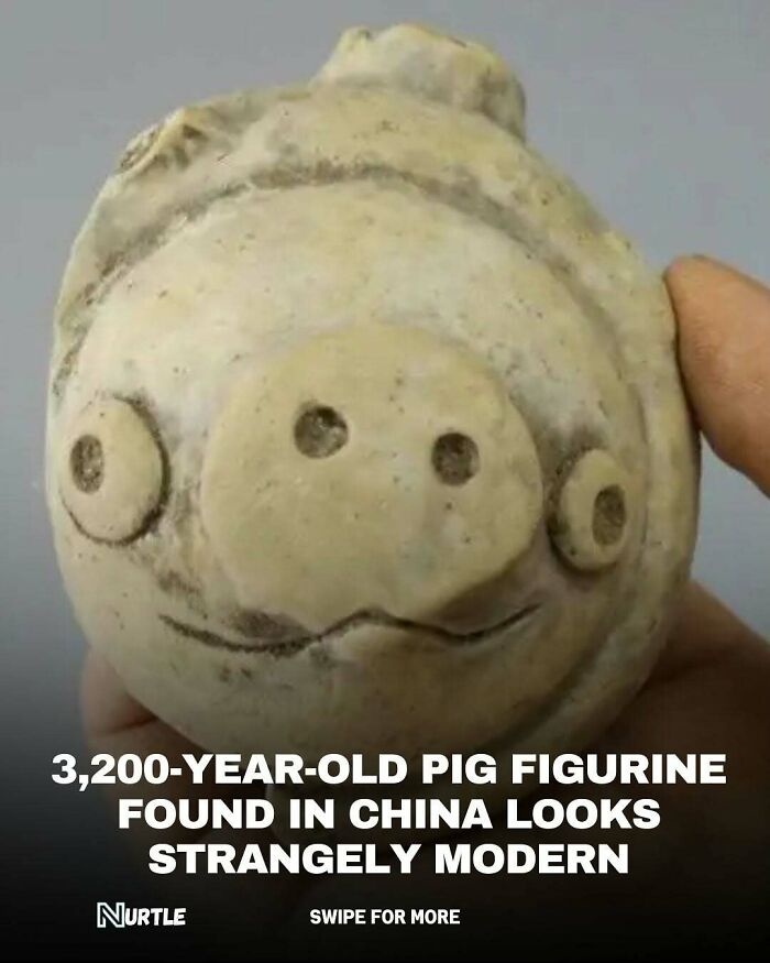 94 Random Facts That Nobody Really Asked For, But They Are Still Fun To Know