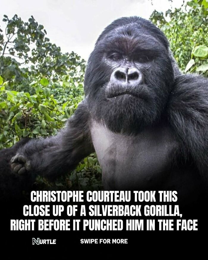 94 Random Facts That Nobody Really Asked For, But They Are Still Fun To Know