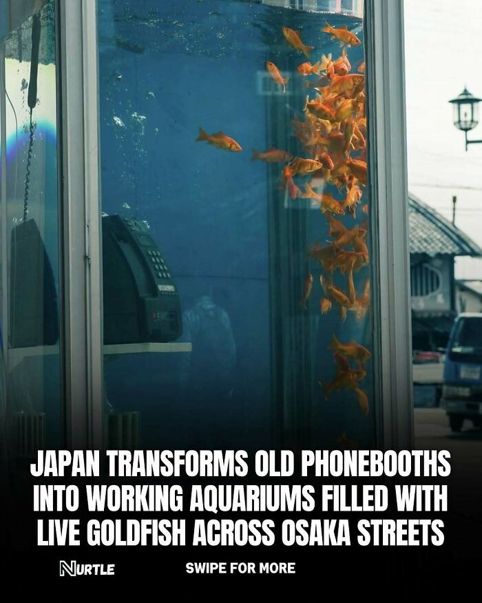 94 Random Facts That Nobody Really Asked For, But They Are Still Fun To Know