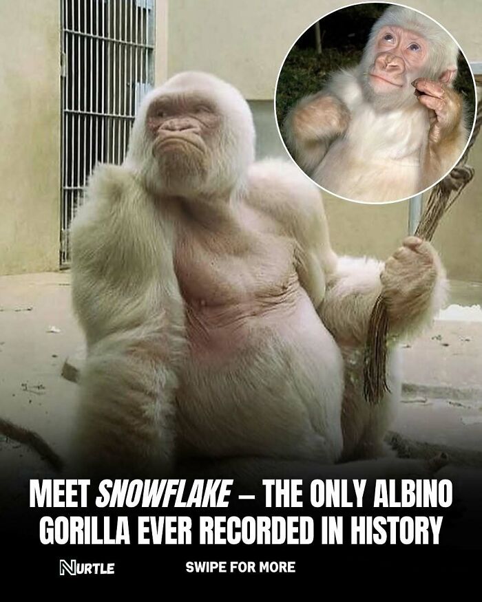 94 Random Facts That Nobody Really Asked For, But They Are Still Fun To Know