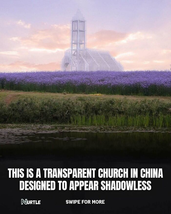 94 Random Facts That Nobody Really Asked For, But They Are Still Fun To Know