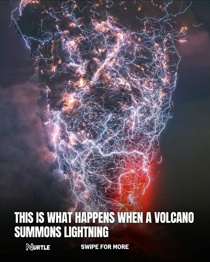 94 Random Facts That Nobody Really Asked For, But They Are Still Fun To Know