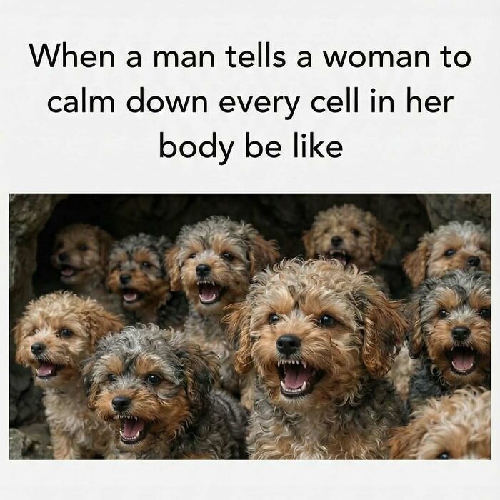 97 Funny Memes To Distract You From Whatever You&rsquo;re Avoiding Right Now