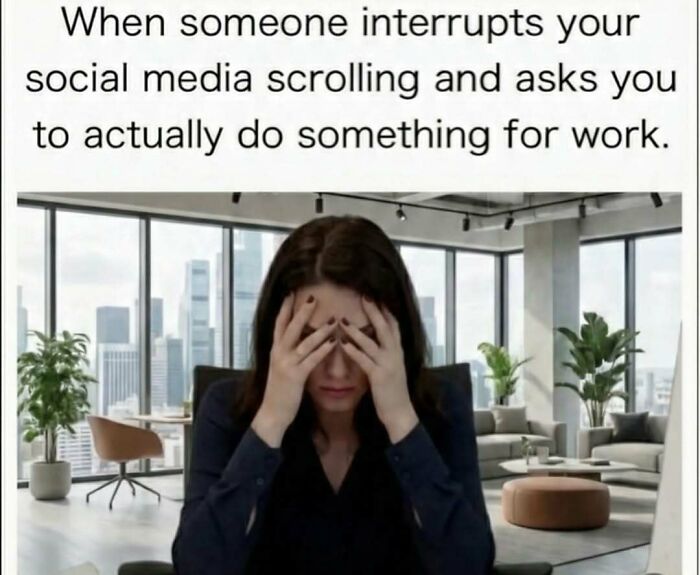 97 Funny Memes To Distract You From Whatever You&rsquo;re Avoiding Right Now