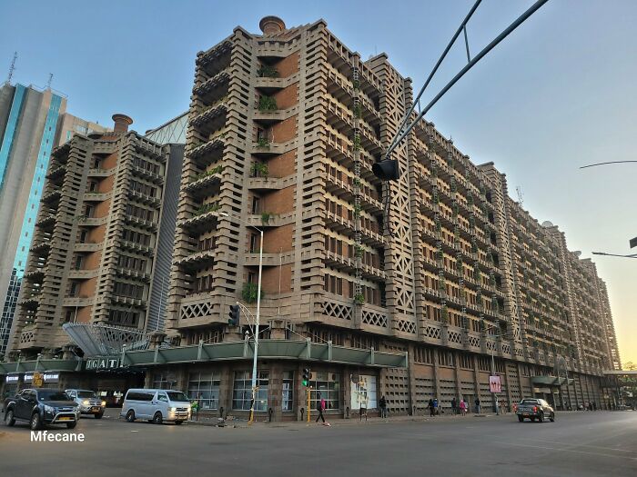 15 Biomimicry Examples That Prove Nature Solves It Best