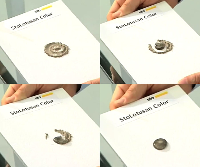 15 Biomimicry Examples That Prove Nature Solves It Best