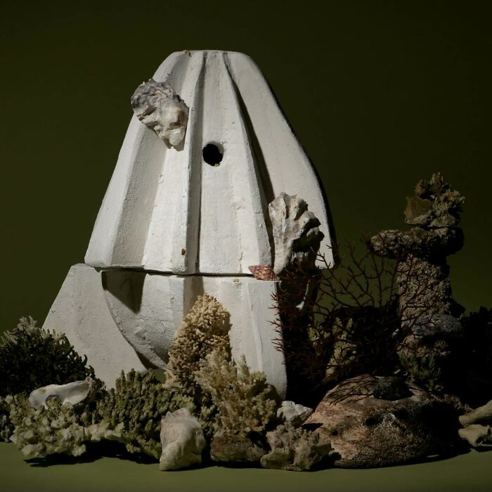 15 Biomimicry Examples That Prove Nature Solves It Best