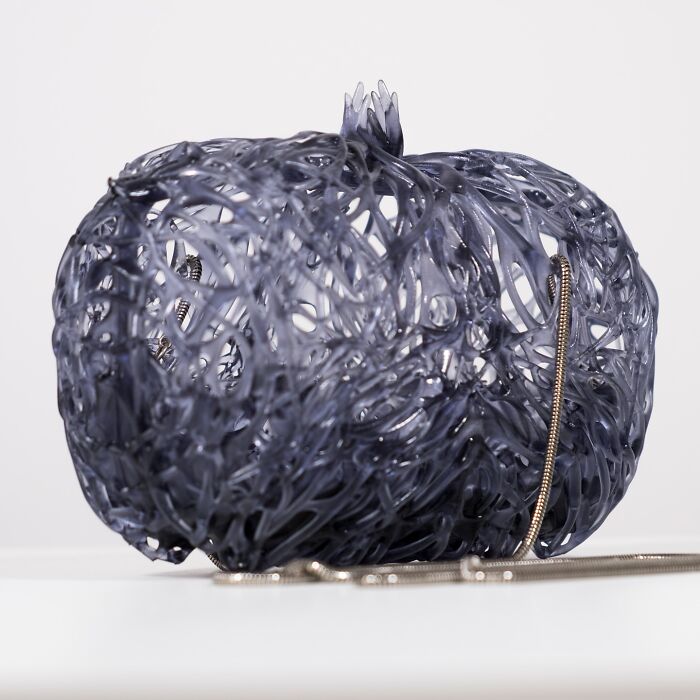 15 Biomimicry Examples That Prove Nature Solves It Best