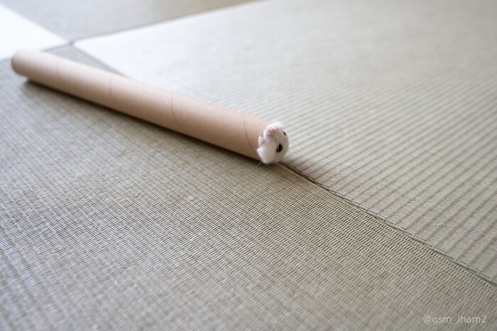 80 Adorable Hamster Pics From This Instagram Page That Might Make Your Day 80 Adorable Hamster Pics From This Instagram Page That Might Make Your Day