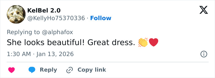 Alicia Silverstone “Glitching” At The Golden Globes Goes Viral As Past Controversies Resurface