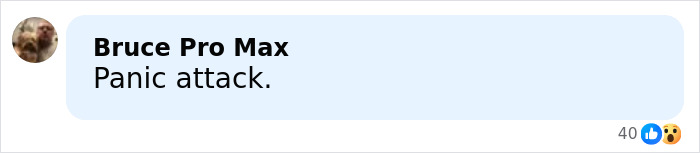 “Can’t Blame Him”: Nick Jonas Walks Out Of Golden Globes 2026 And The Viral Video Reveals Why