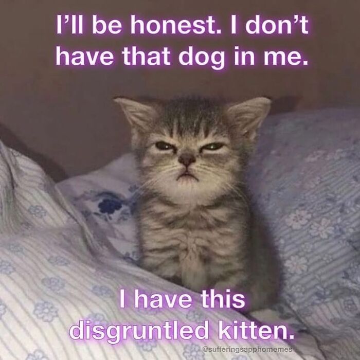 79 Funny And Relatable Therapy Memes That Deserve A Couch Of Their Own