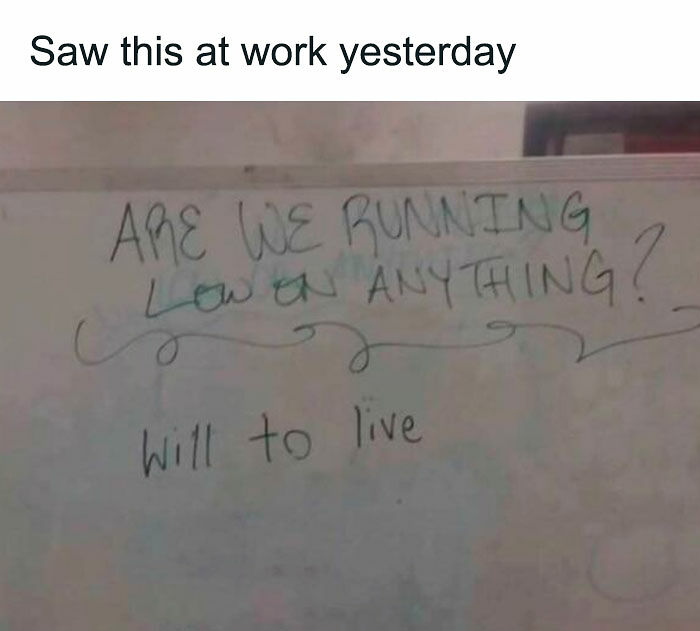 52 Works Memes That Might Make You Either Laugh Or Cry (New Pics)